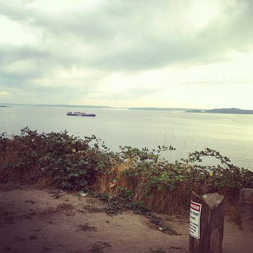 View from Discovery Park Loop Trail