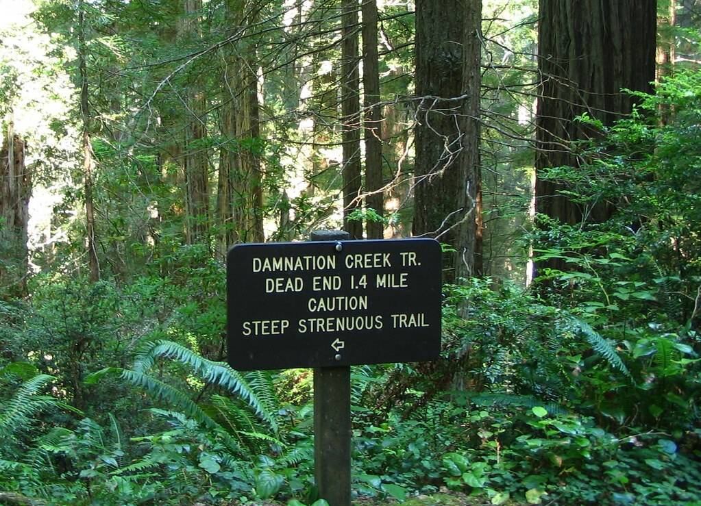 Damnation Creek Trail Marker (Del Norte Coast Redwood State Park)
