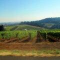 Oregon's Wine Country