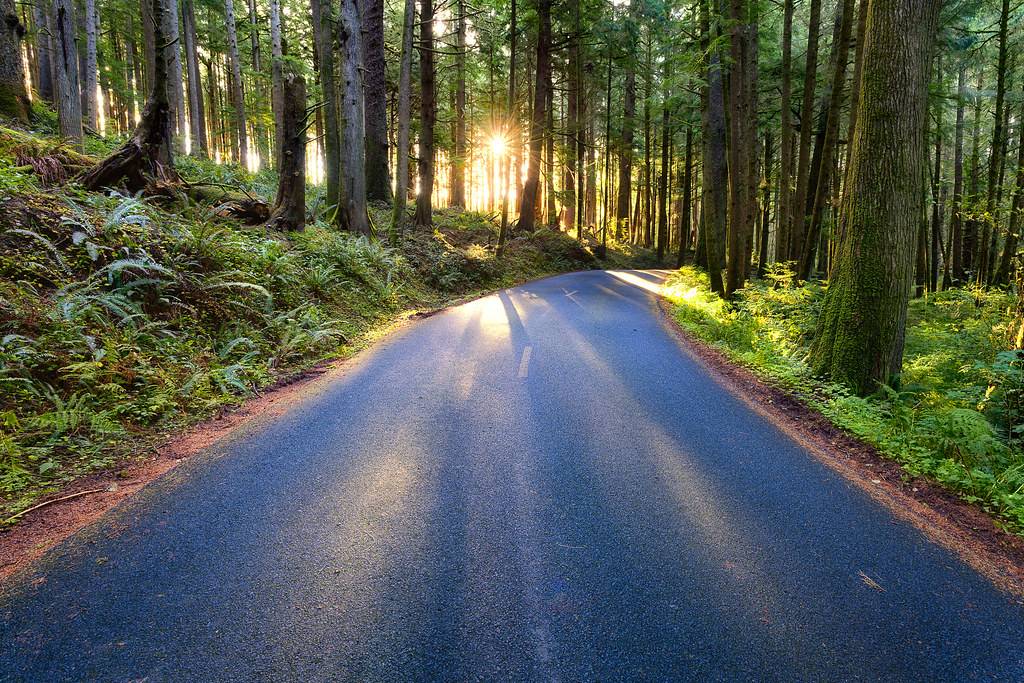 Forest Road in Oregon